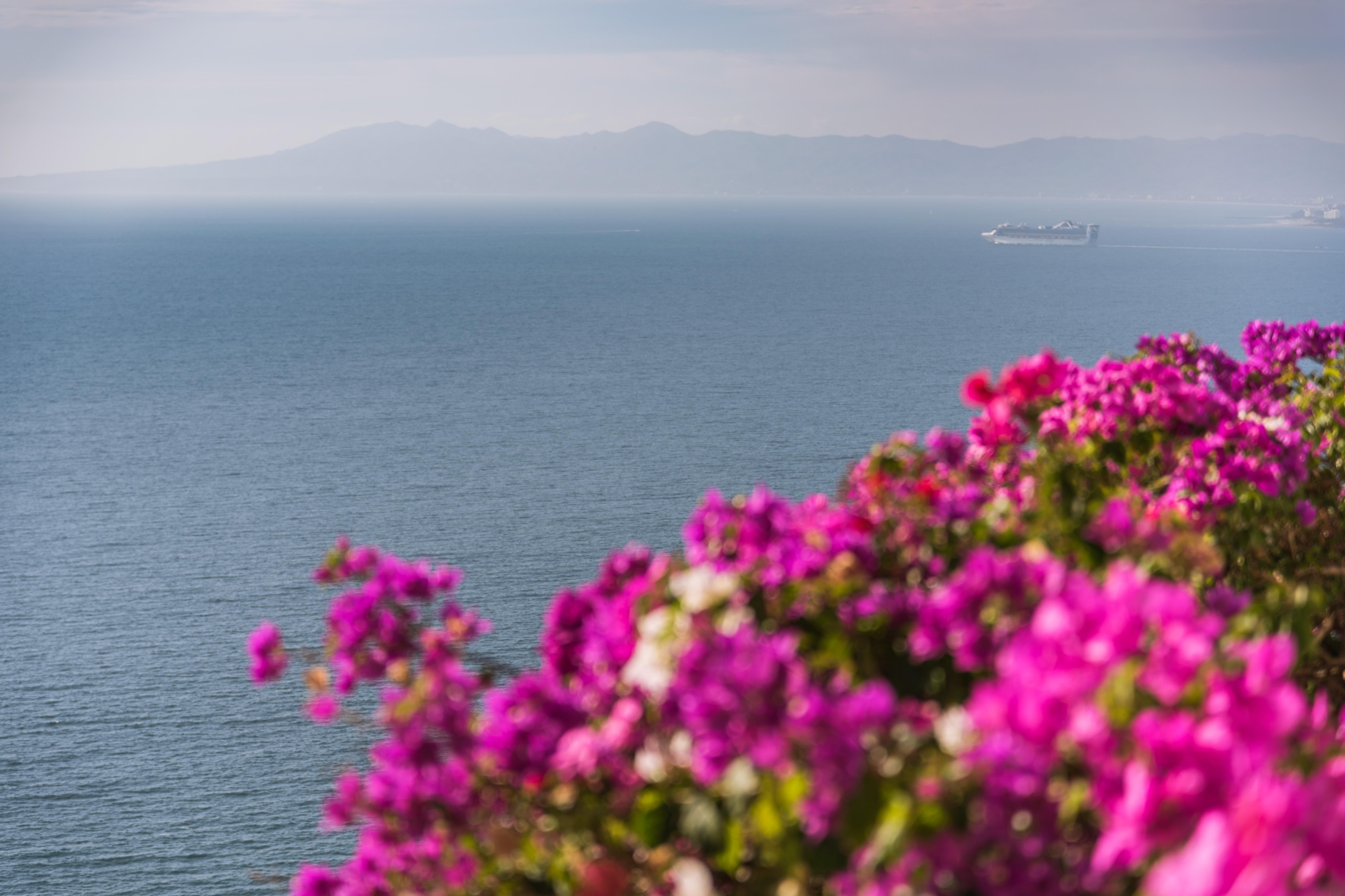 Grand Miramar All Luxury Suites & Residences (Adults Only) Πουέρτο Βαγιάρτα Εξωτερικό φωτογραφία