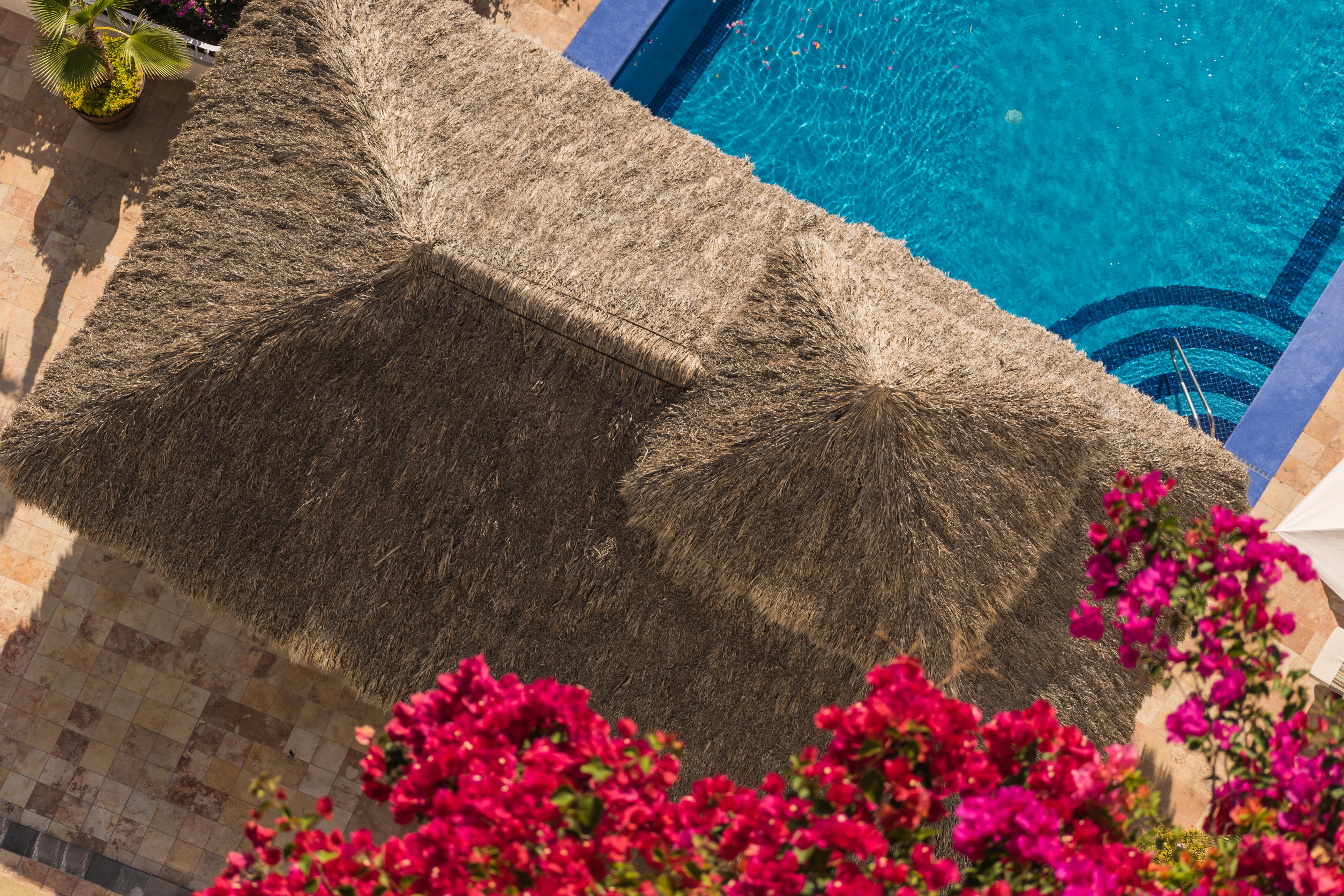Grand Miramar All Luxury Suites & Residences (Adults Only) Πουέρτο Βαγιάρτα Εξωτερικό φωτογραφία