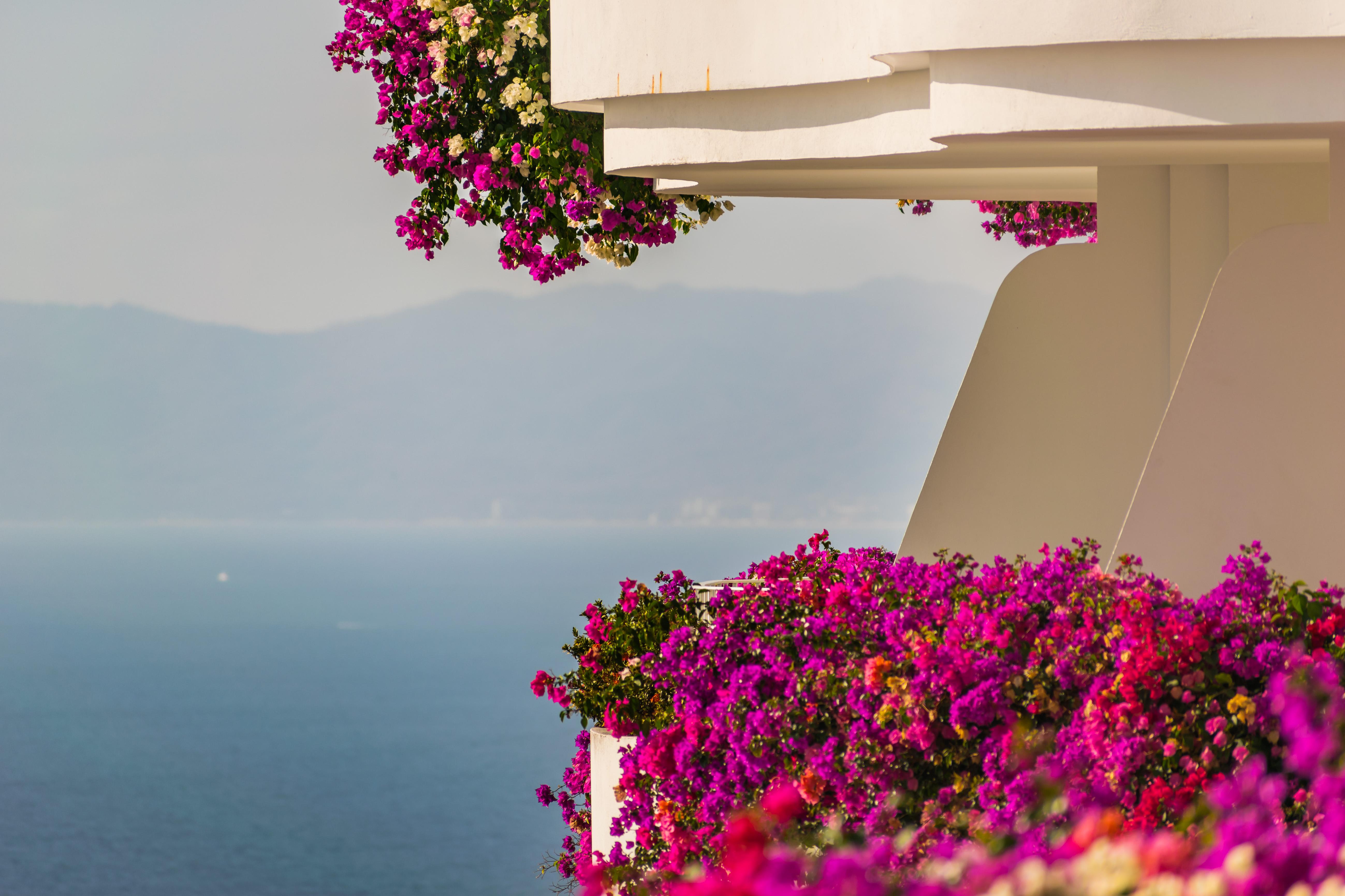 Grand Miramar All Luxury Suites & Residences (Adults Only) Πουέρτο Βαγιάρτα Εξωτερικό φωτογραφία