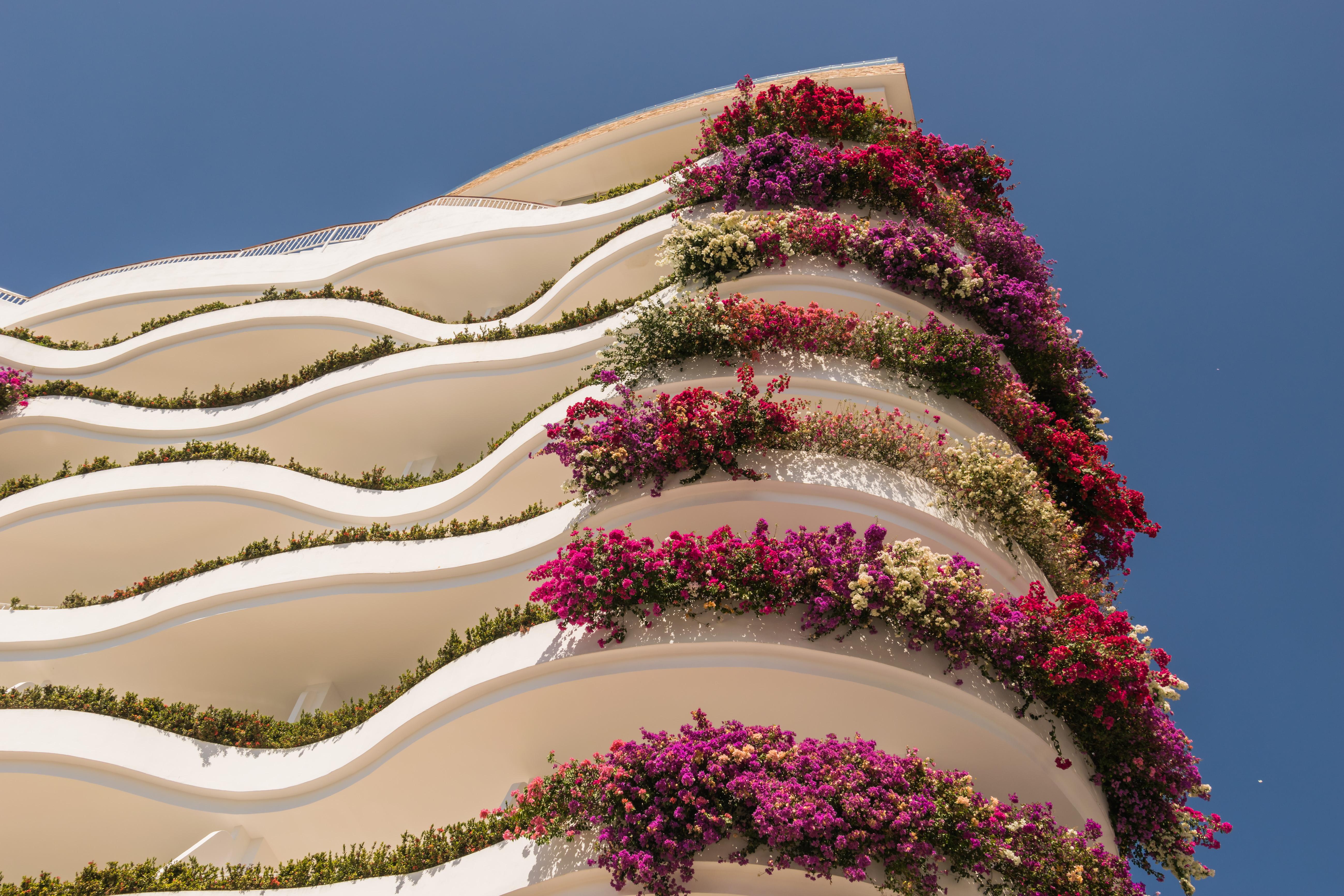 Grand Miramar All Luxury Suites & Residences (Adults Only) Πουέρτο Βαγιάρτα Εξωτερικό φωτογραφία