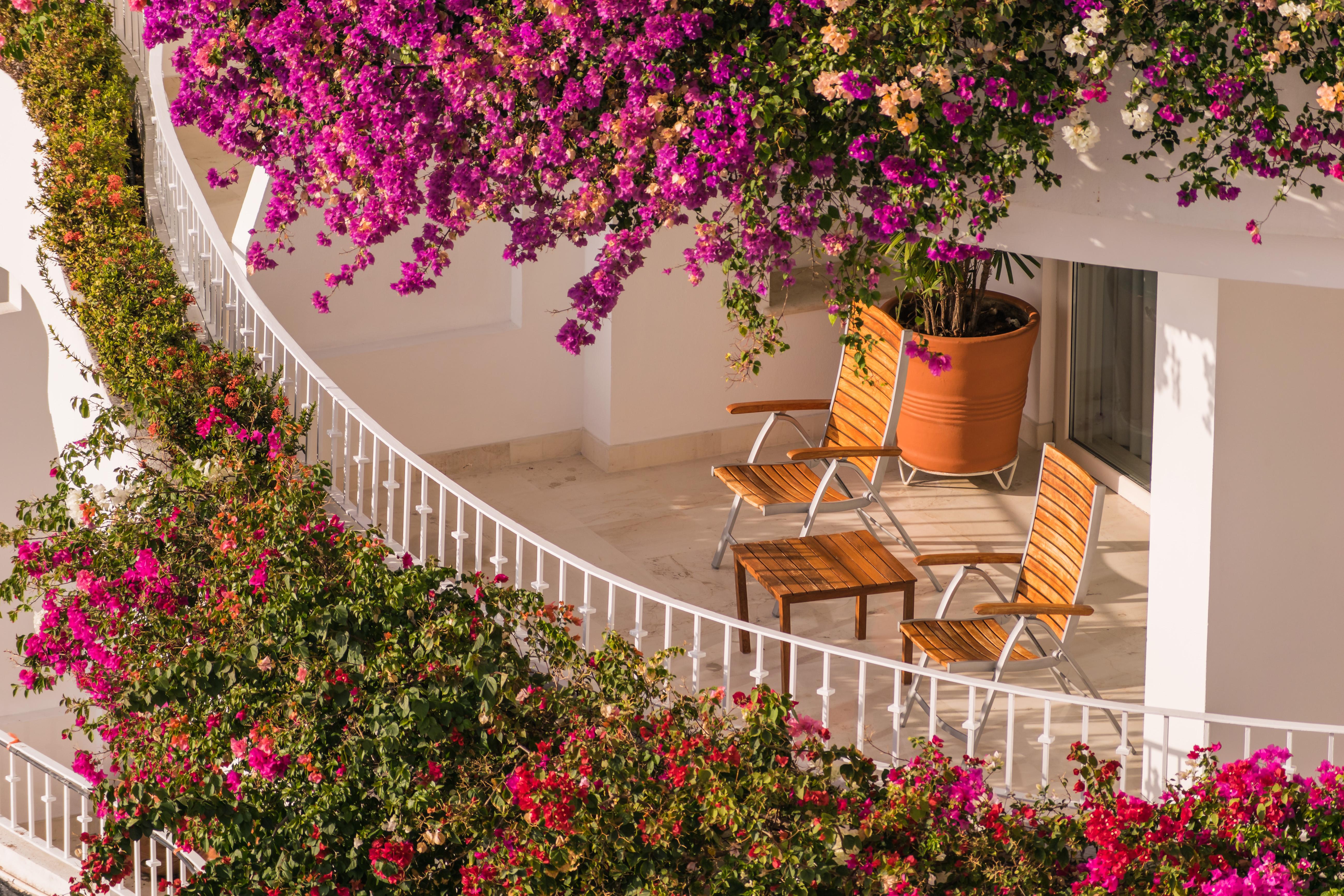 Grand Miramar All Luxury Suites & Residences (Adults Only) Πουέρτο Βαγιάρτα Εξωτερικό φωτογραφία