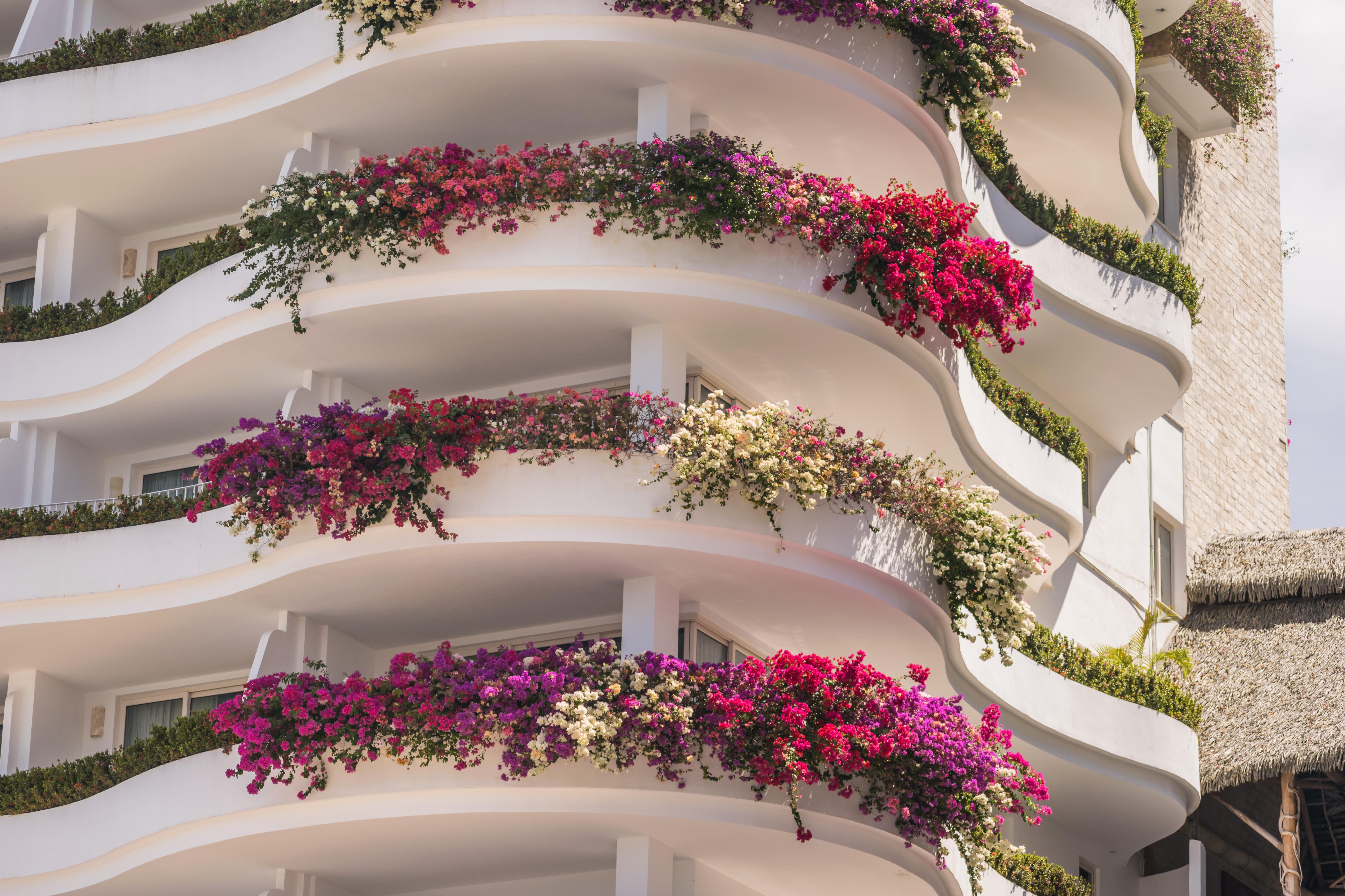 Grand Miramar All Luxury Suites & Residences (Adults Only) Πουέρτο Βαγιάρτα Εξωτερικό φωτογραφία