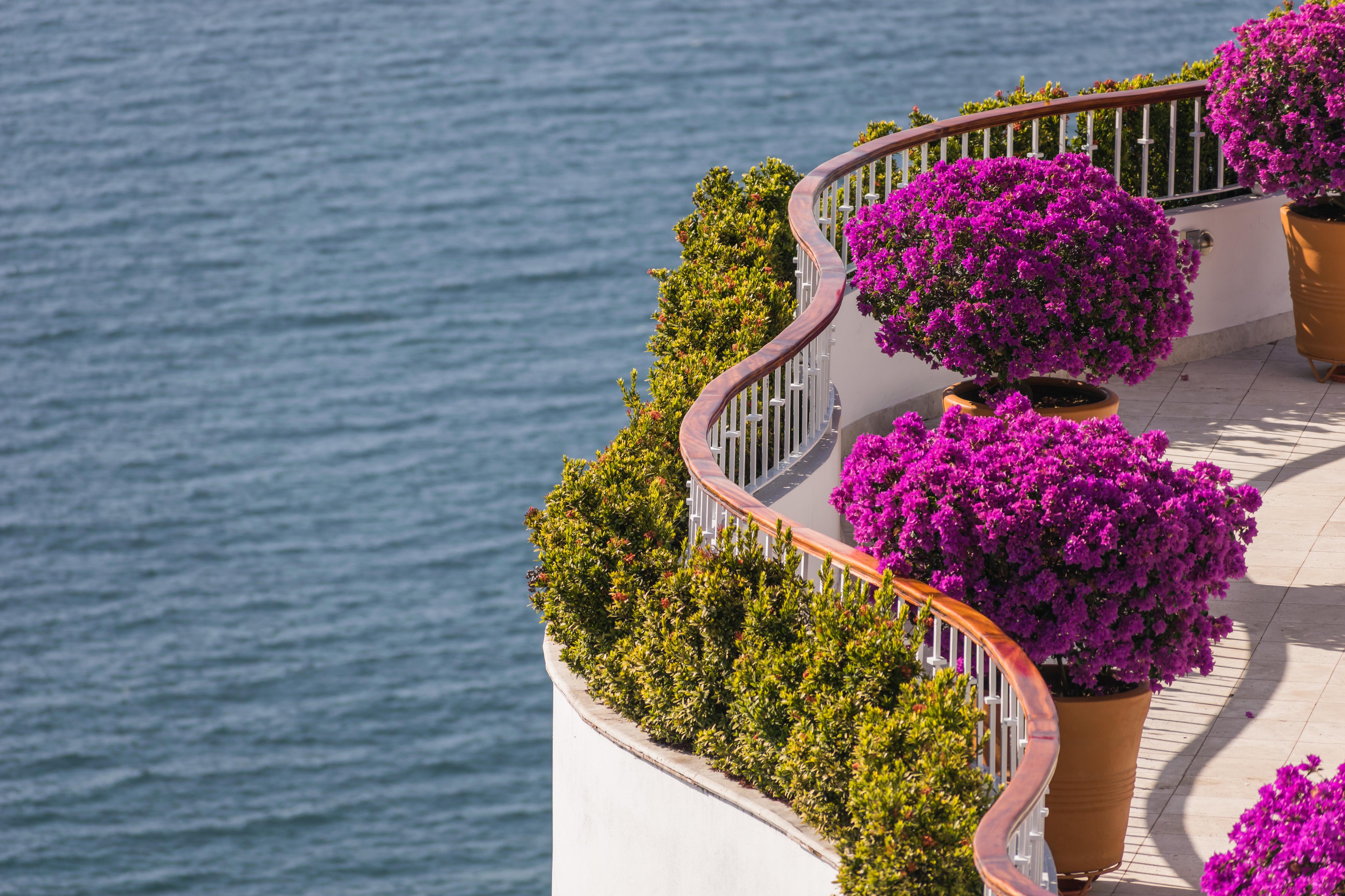 Grand Miramar All Luxury Suites & Residences (Adults Only) Πουέρτο Βαγιάρτα Εξωτερικό φωτογραφία