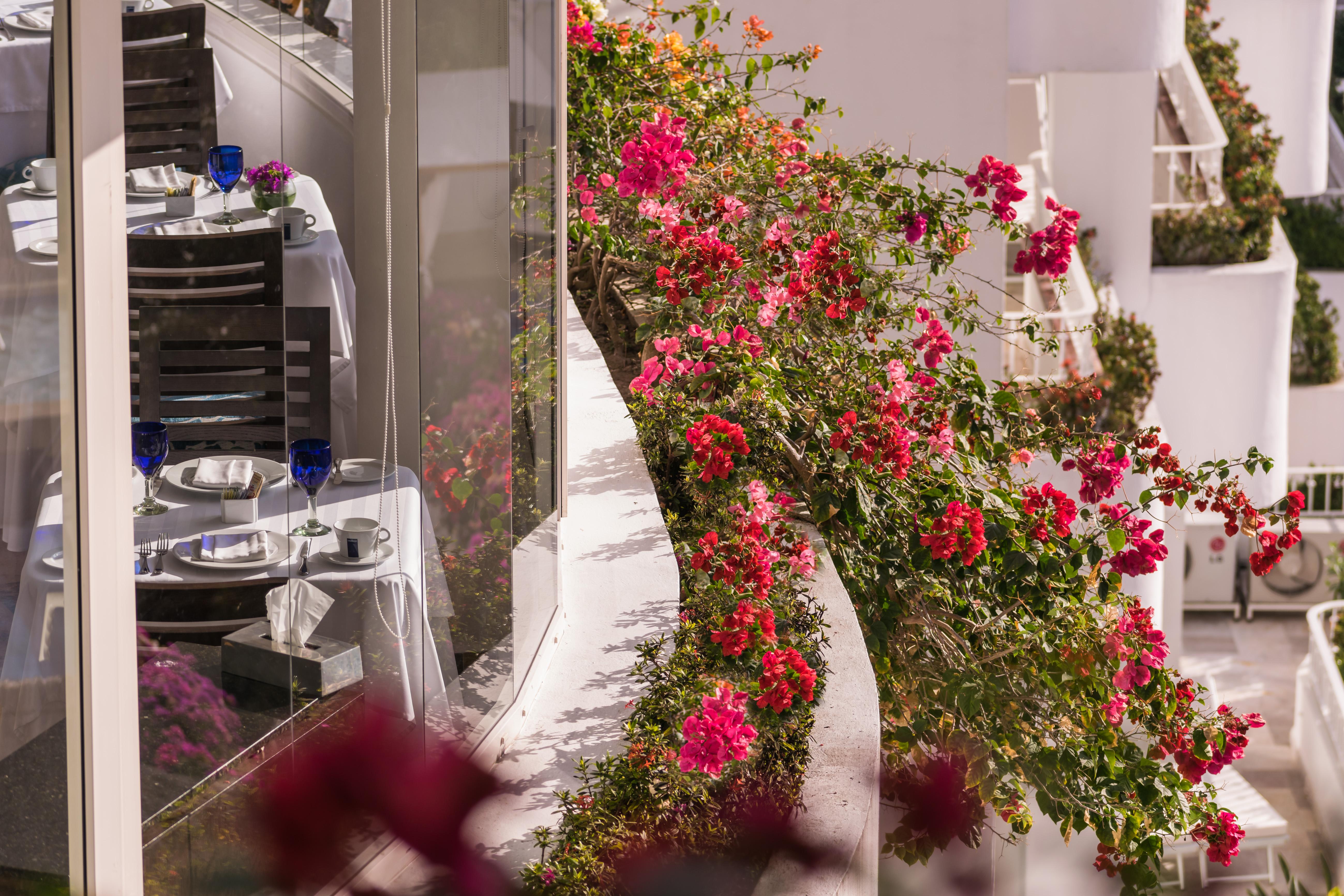Grand Miramar All Luxury Suites & Residences (Adults Only) Πουέρτο Βαγιάρτα Εξωτερικό φωτογραφία