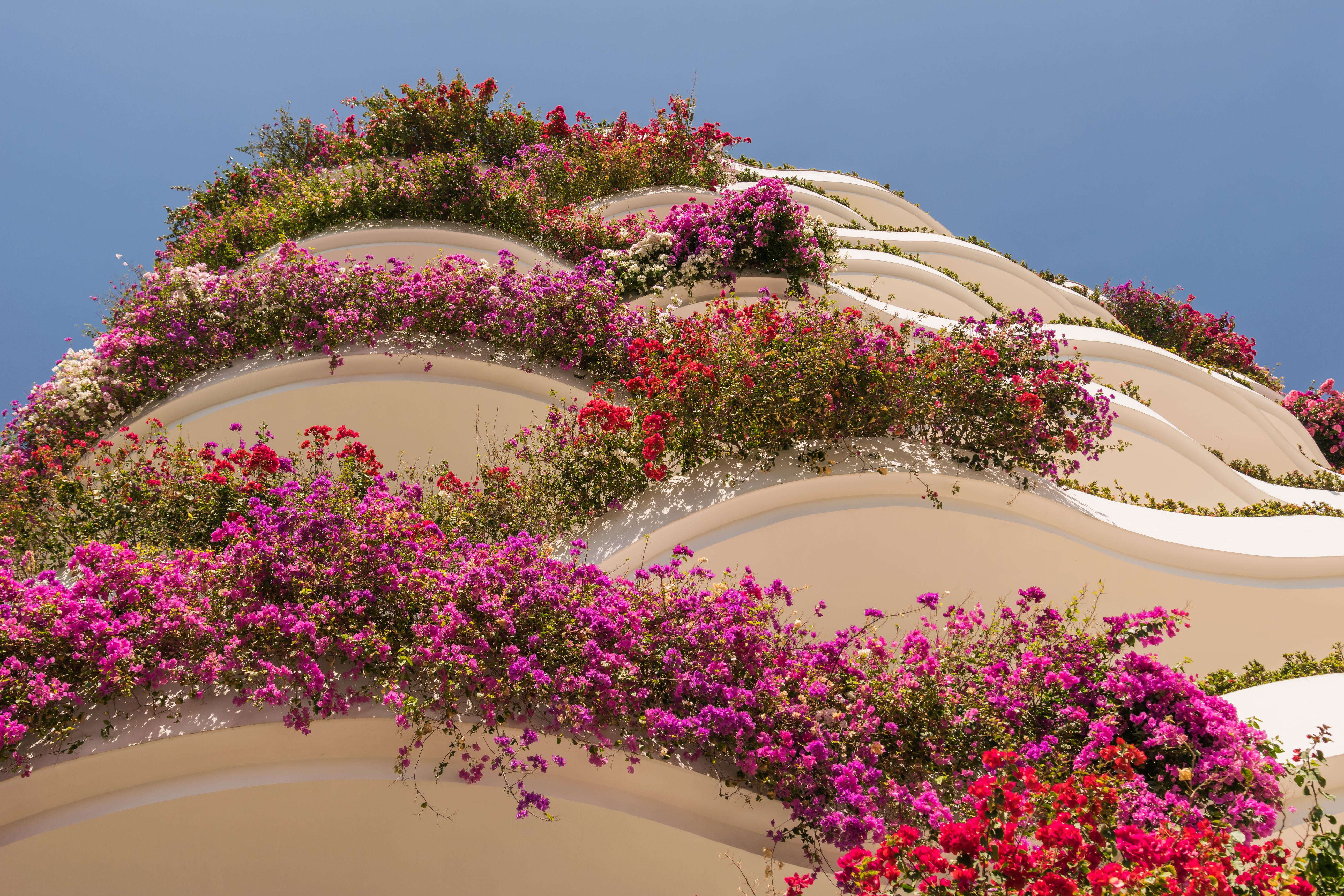 Grand Miramar All Luxury Suites & Residences (Adults Only) Πουέρτο Βαγιάρτα Εξωτερικό φωτογραφία